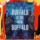 Buffalo Is the New Buffalo by Chelsea Vowel
