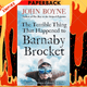 The Terrible Thing That Happened to Barnaby Brocket by John Boyne