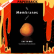 The Membranes: A Novel by Ta-wei Chi, Ari Larissa Heinrich (Translator)