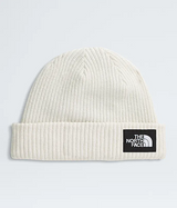 Salty Lined Beanie F25