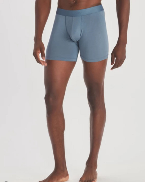 Mens Everyday Boxer Brief