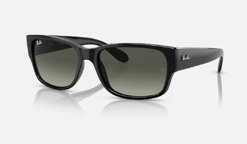 RB4388 Sunglasses in Black