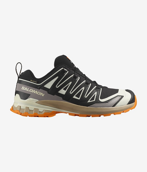 Men Shoes XA PRO 3D V9 GTX in Black/Vanila/Turm