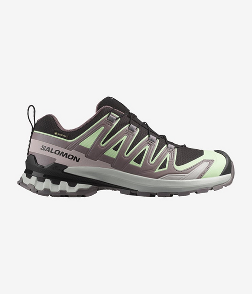 Women Shoes XA PRO 3D V9 GTX W in Black/Pating/Gr
