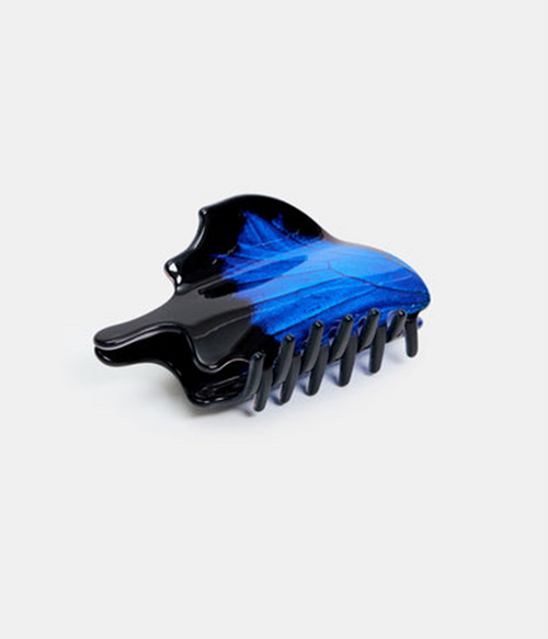 Swallowtail Butterfly Claw