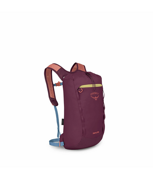 Daylite Cinch in Moody Burgundy