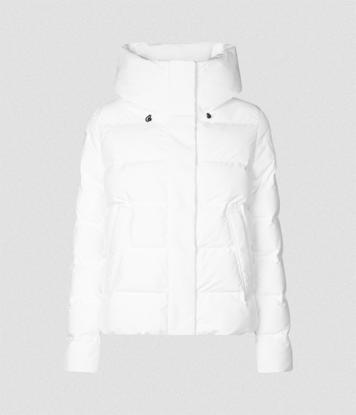 Womens Arena Jacket LEAF21