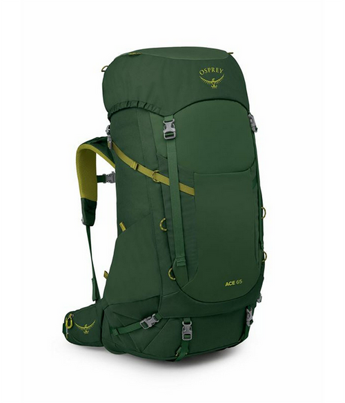 Ace 65 Green Canopy OS