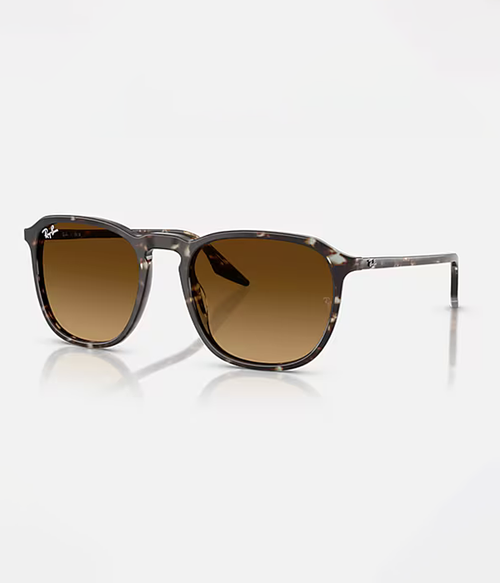 RB2203 Havana Yellow Turtle Frame with Gradient Brown Lens