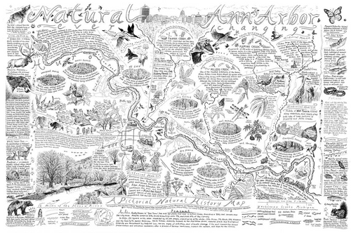 Natural Ann Arbor Map - B&W - Not Available - One Size