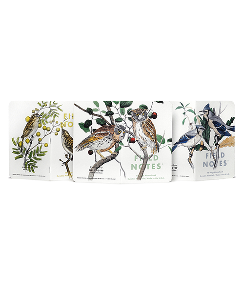 Birds & Trees of N. America Pack A - Screech Owl, Blue Jay, Brewer Sparrow