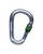 PEARLOCK SCREWGATE CARABINER