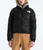 Womens 1996 Retro Nuptse Jacket
