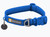 Front Range Collar