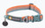 Front Range Collar