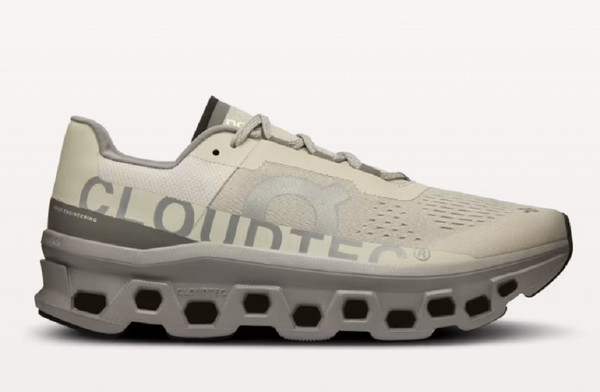 Mens Cloudmonster Ice | Alloy