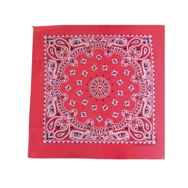 Paisley Bandana Red