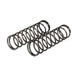 ProForm Light Pressure Valve Check Springs | #66793 66793