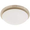 Nuvo 60/2941 Small Button with White Glass, Brushed Nickel