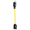 Utilitech Locking "Y" Adapter Cord Standard Outlet, 9 in