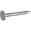 Fas-n-Tite 11-Gauge Electro-Galvanized Roofing Nails (30-lbs)