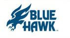 Blue Hawk