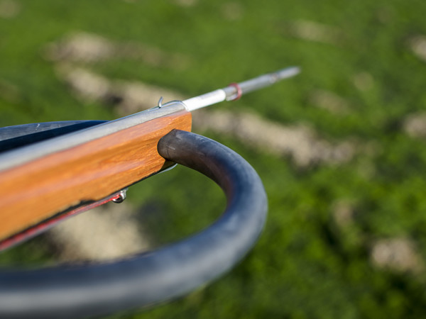 カンカン The Cantabrico 75