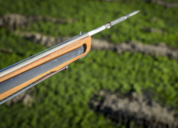 カンカン The Cantabrico 75