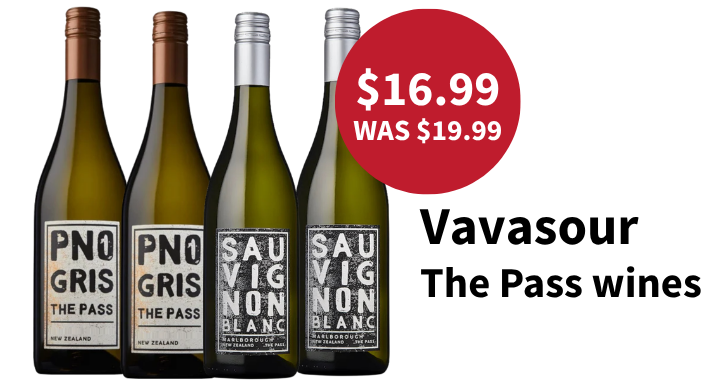 Discover The Pass by Vavasour