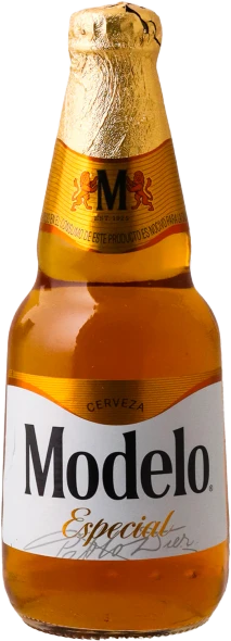 Modelo Especial 24 x 355ml Bottles