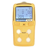 GAS DETECTION | Multi-Gas