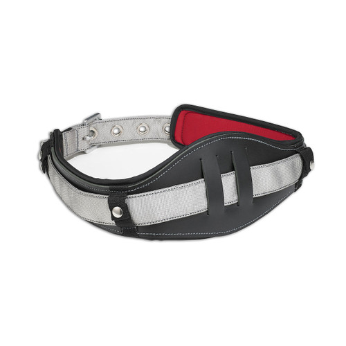 Dynamic Lumbar Support for Belt - Case of 5