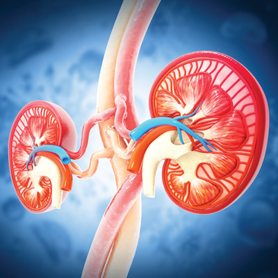 Intensive Review of Nephrology Nephrology CME