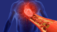 Silent but Serious: What Every Clinician Should Know About Masked Hypertension Silent but Serious: What Every Clinician Should Know About Masked Hypertension
