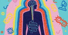 A Guide to the Internal Medicine Subspecialty Fellowships: Which is Right for You?