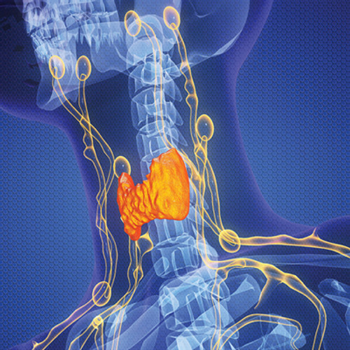 Specialties - Oakstone | CME