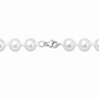 white south sea pearl graduated 7 to 12mm stand necklace with 950 platinum lobster claw clasp view
