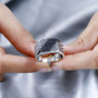 black diamond cluster rhodium over sterling silver mens ring shown in hand