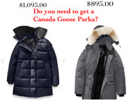 Coats for cold days under 10F without break your bank--you don't need a $1000.00 Canada Goose coat!