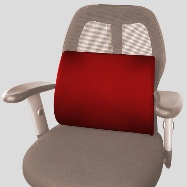 Foam Back Rest (Small) - Docuses Healthcare
