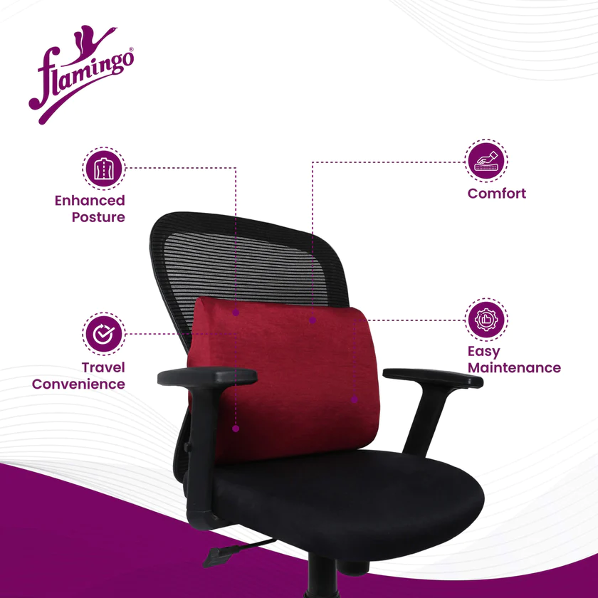 Foam Back Rest (Small) - Docuses Healthcare