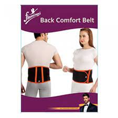 Back Comfort Belt