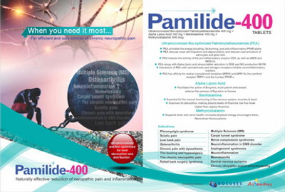 Pamilide 400 Tablets (Strip of 10 Tab.)