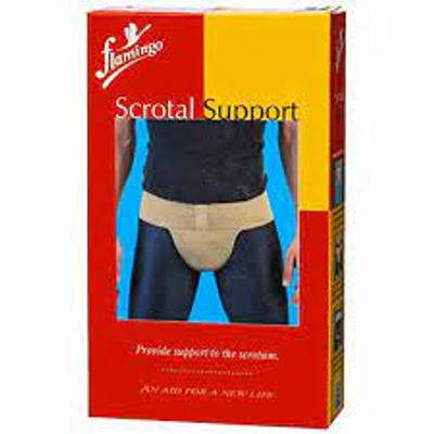 Scrotal Support