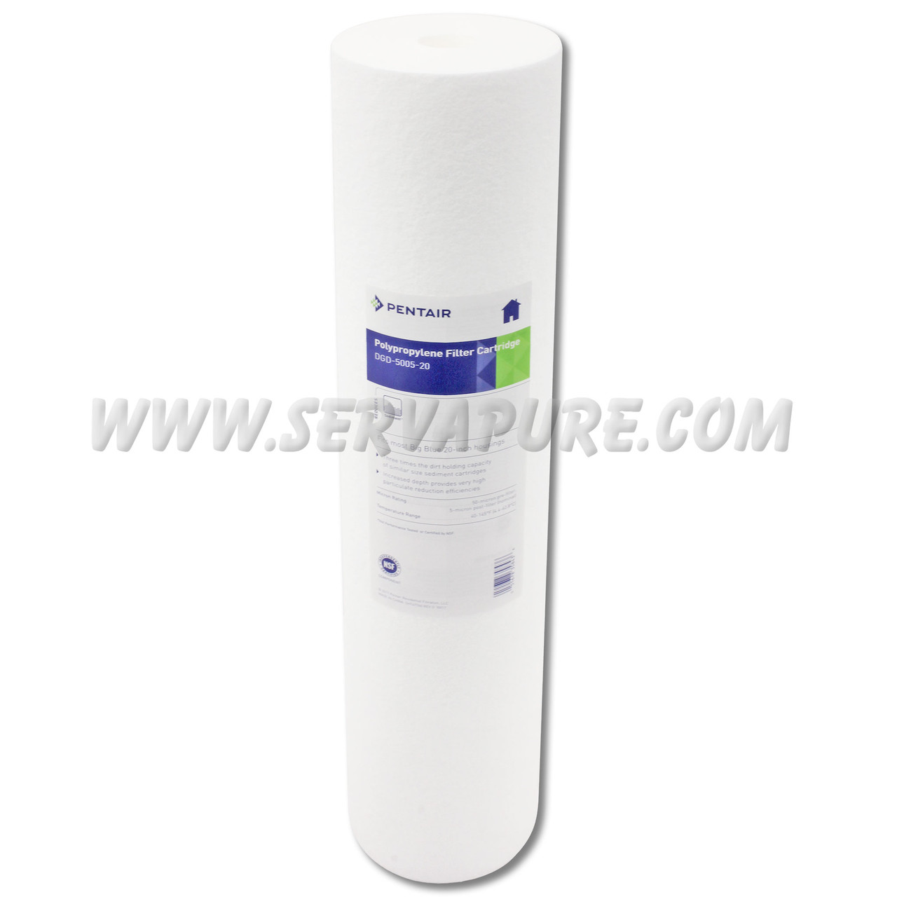 Pentek 155358-43, DGD-5005-20, 4.5" x 20" Big Blue Filter, 50/5