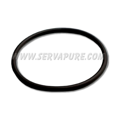 Blue-White 90003-134, O-Ring for 1" F-461 Flow Meters