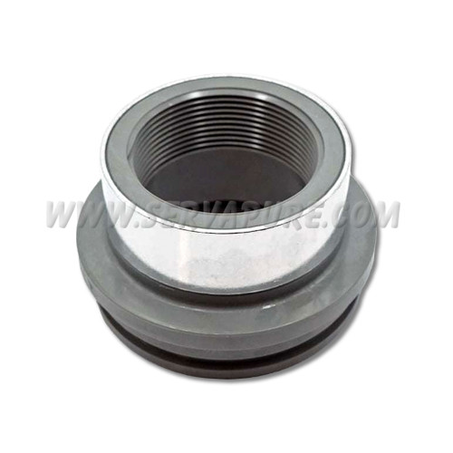 Blue-White F-452330N, 2" FNPT Adapter for F-462 Flow Meters