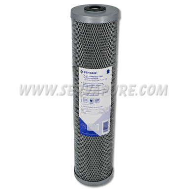Pentek 655230-43, FloPlus Protect 20BB PFOA/PFOS Filter, 4.5