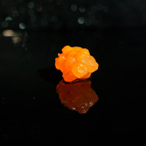 Q8 HybrAlive MicRoe Egg Cluster Q8 HybrAlive MicRoe Egg Cluster