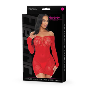 Electric Lingerie Scarlet Seduction Lace & Mesh Dress O/S